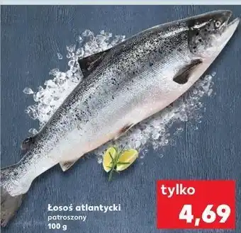 Kaufland Łosoś atlantycki patroszony oferta