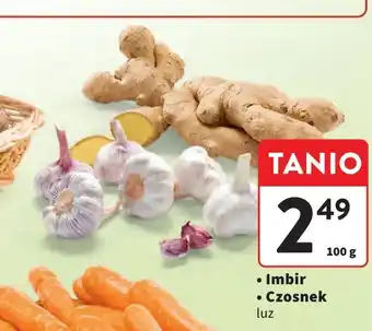 Intermarche Imbir oferta