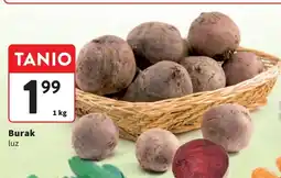 Intermarche Buraki oferta