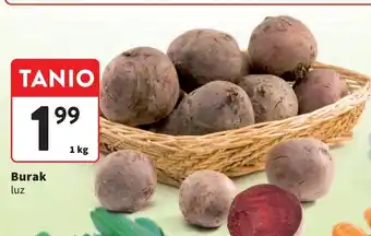 Intermarche Buraki oferta