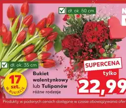 Kaufland Bukiet tulipanów Ok oferta