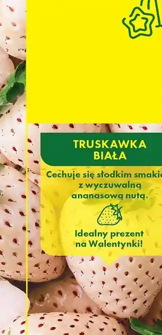 Biedronka Truskawki białe oferta