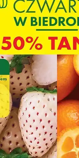 Biedronka Kumkwat oferta
