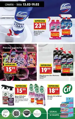 Biedronka Spray do czyszczenia arctic fresh Domestos Power Foam oferta