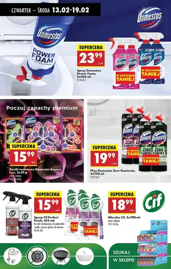 Biedronka Spray do czyszczenia arctic fresh Domestos Power Foam oferta