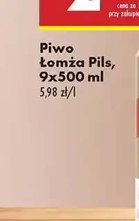 Biedronka Piwo Żywiec Białe oferta