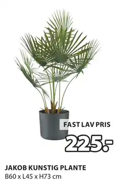 JYSK JAKOB KUNSTIG PLANTE oferta