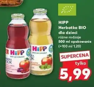 Kaufland Herbatka z dzikiej róży z sokiem z czerwonych owoców Hipp herbatka & sok oferta