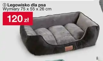 Woolworth Legowisko dla psa oferta