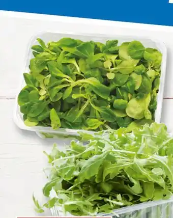 E.Leclerc Roszponka oferta