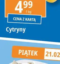 E.Leclerc Filety śledziowe a'la matjas oferta