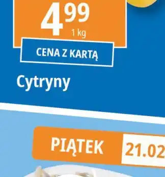 E.Leclerc Filety śledziowe a'la matjas oferta