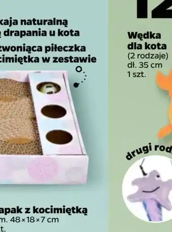 Netto Zabawka dla kota oferta