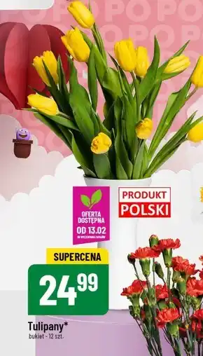 Polomarket Bukiet tulipanów Tulipany oferta