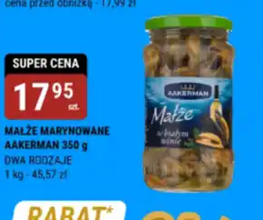 bi1 Małże Aakerman oferta