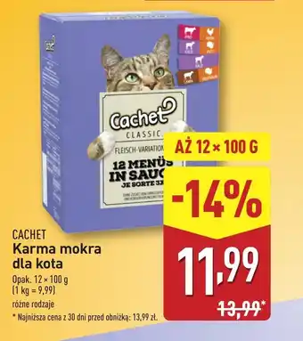 ALDI Mokra karma dla kota Cachet oferta