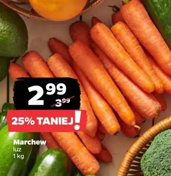 Netto Marchew oferta