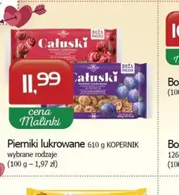 Malinka Market Pierniki lukrowane Kopernik oferta