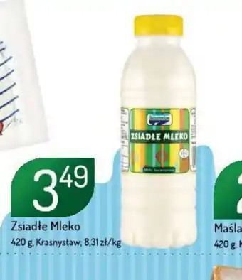 Avita Zsiadłe mleko oferta