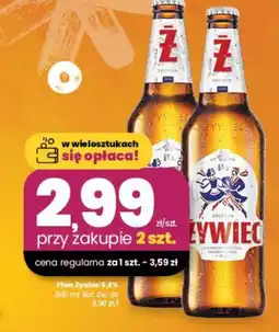 EMMA market Piwo Zywiec oferta