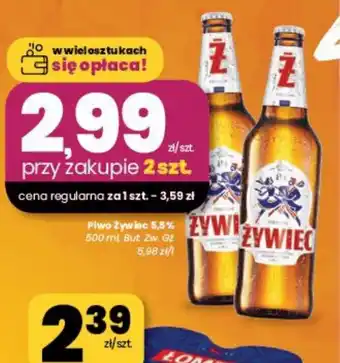 EMMA market Piwo Zywiec oferta