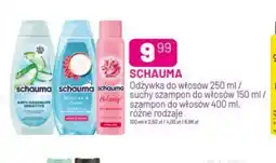 Koliber drogerie Schauma oferta