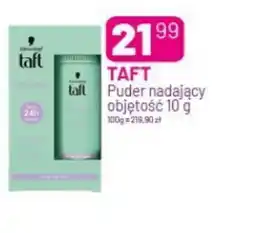 Koliber drogerie Taft puder nadający objętość oferta