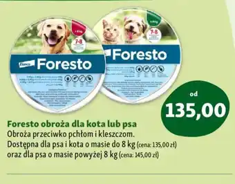 Maxi Zoo Foresto obroża dla kota lub psa oferta