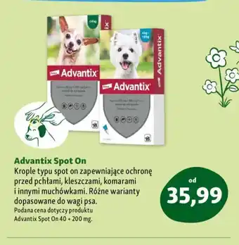 Maxi Zoo Advantix Spot On oferta