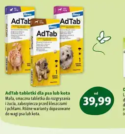 Maxi Zoo AdTab tabletki dla psa lub kota oferta