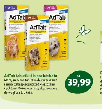 Maxi Zoo AdTab tabletki dla psa lub kota oferta