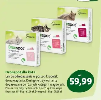 Maxi Zoo Dronspot dla kota oferta