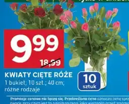 Kwiaty cięte róże