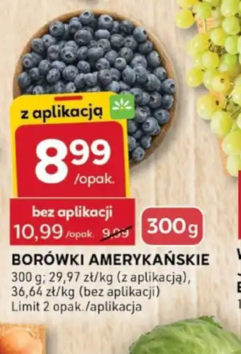 Stokrotka Optima Borówki amerykańskie oferta