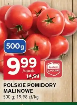 Stokrotka Optima Polskie pomidory malinowe oferta