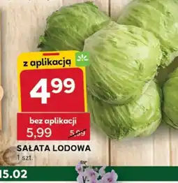 Stokrotka Optima Sałata lodowa oferta