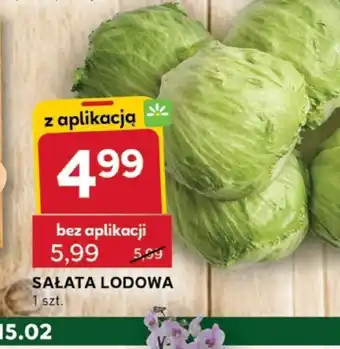 Stokrotka Optima Sałata lodowa oferta