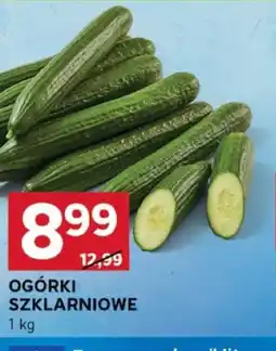 Ogórki szklarniowe
