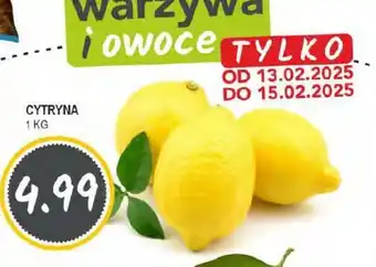 Słoneczko Cytryna oferta