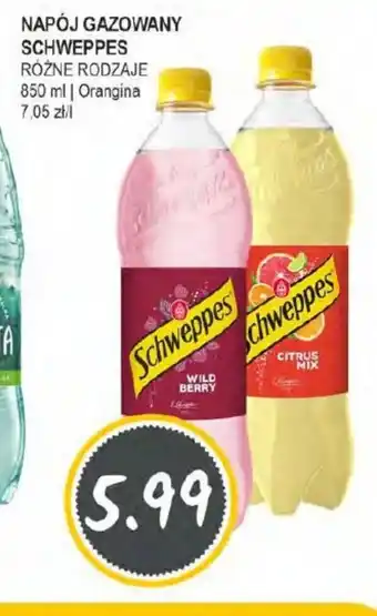 Słoneczko Napój gazowany Schweppes oferta