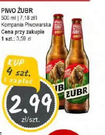 Słoneczko Piwo Zubr oferta