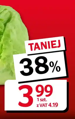 Selgros Sałata lodowa oferta