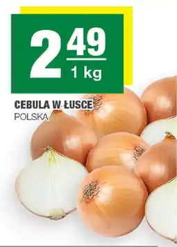 Spar Cebula w łusce oferta