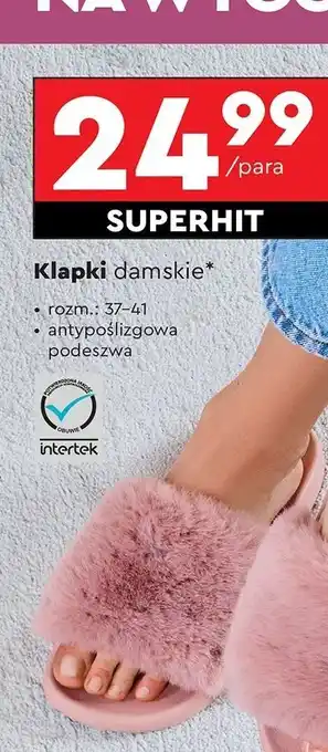 Biedronka Klapki damskie 37-41 Cleve oferta