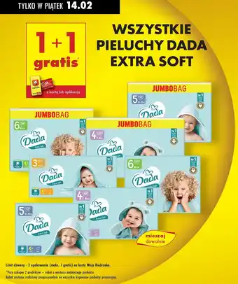 Biedronka Wszystkie pieluchy Dada Extra Soft oferta