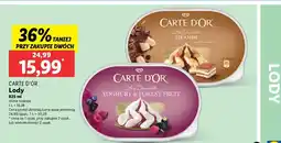 Lidl Lody yoghurt & forest fruit Algida carte d'or oferta