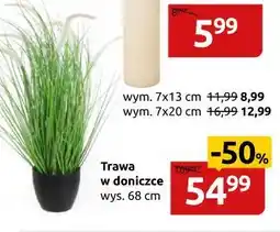 Black Red White TRAWA SZTUCZNA W DONICZCE, WYS. 68CM oferta