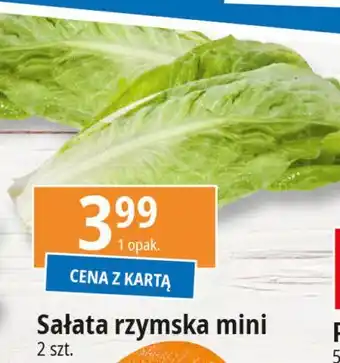 E.Leclerc Sałata rzymska mini oferta