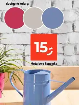 Dealz Konewka metalowa oferta