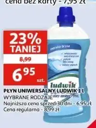 Auchan Płyn do mycia glazury, terakoty i pcv morska bryza Ludwik oferta